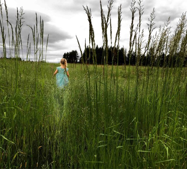 2016-christmas-card-5